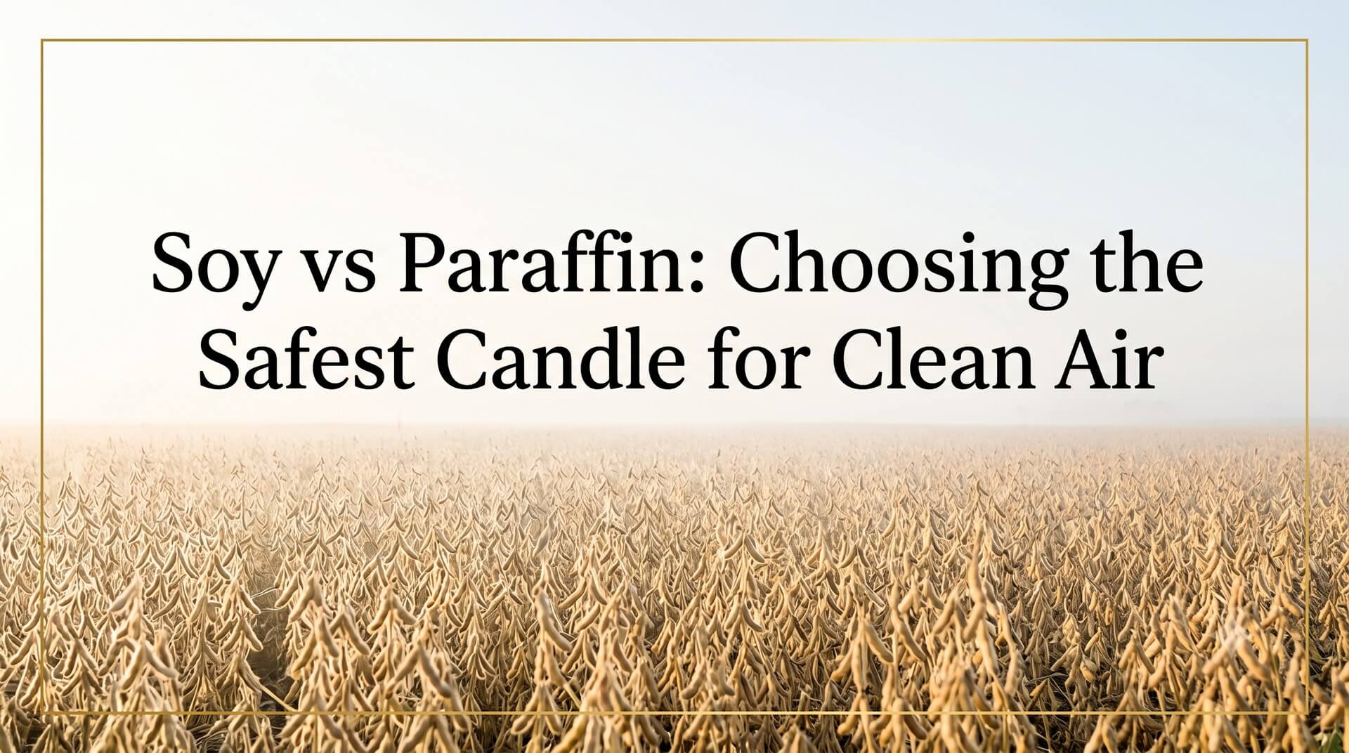 Image titled 'Soy vs Paraffin: Choosing the Safest Candle for Clean Air' with soybean field at sunrise.