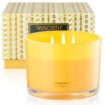 Palo Santo Candle thumbnail