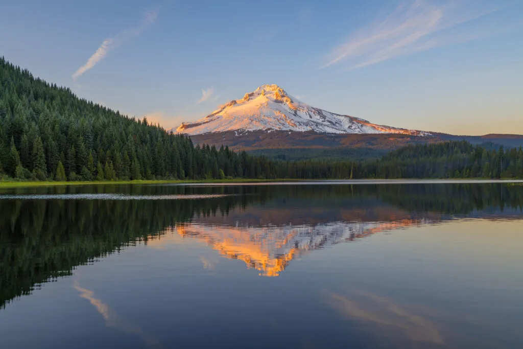 iStock 1088019218
