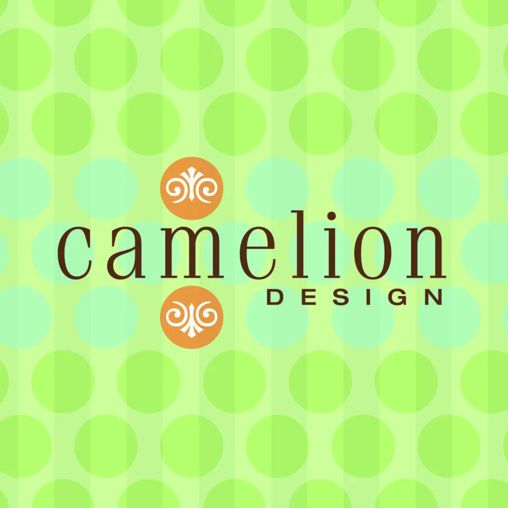 Best Home Decor Stores in Seattle and How 96NORTH Can Elevate Your Space 6 Camelion Design