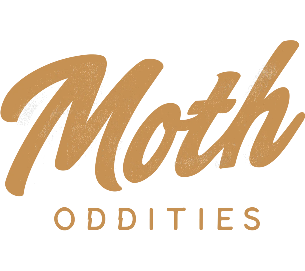 Moth Oddities
