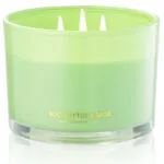 Eucalyptus & Sage Candle thumbnail