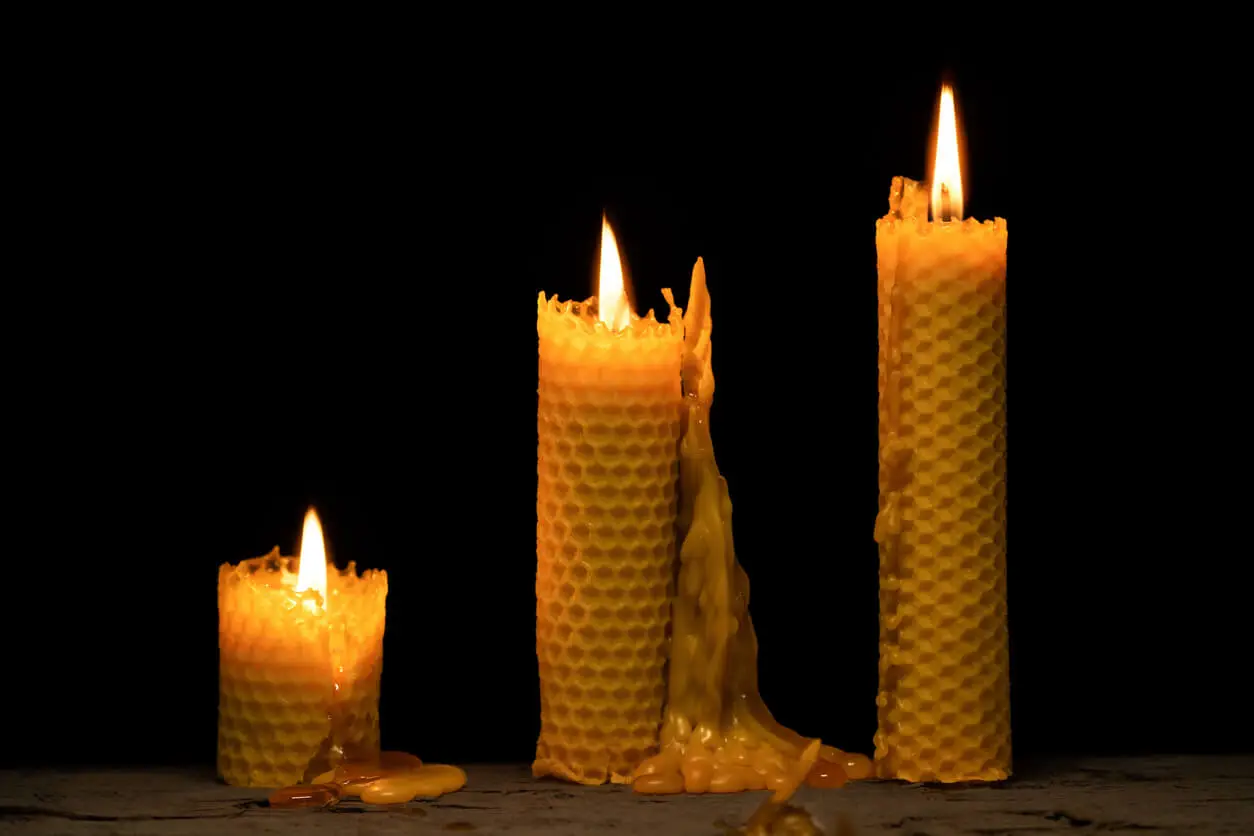 A photo of three beeswax candles burning in the dark, another viable long-lasting candle option.